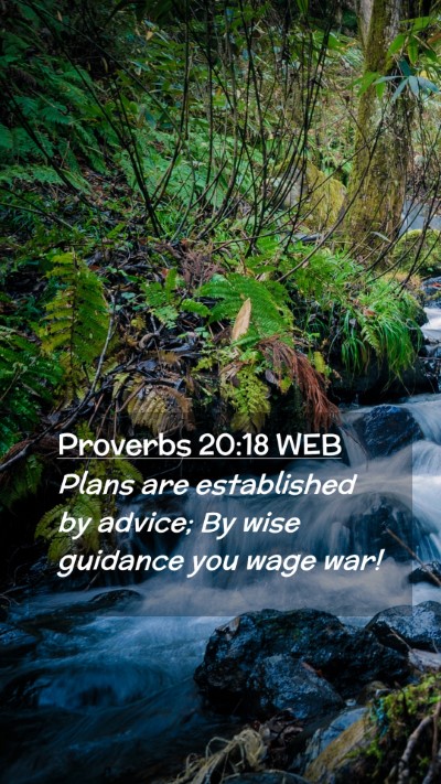 Picture 02 - Proverbs 20:18 WEB Mobile Phone Wallpaper - Plans are established by advice; By wise guidance - Mobile Bible Verse Wallpaper