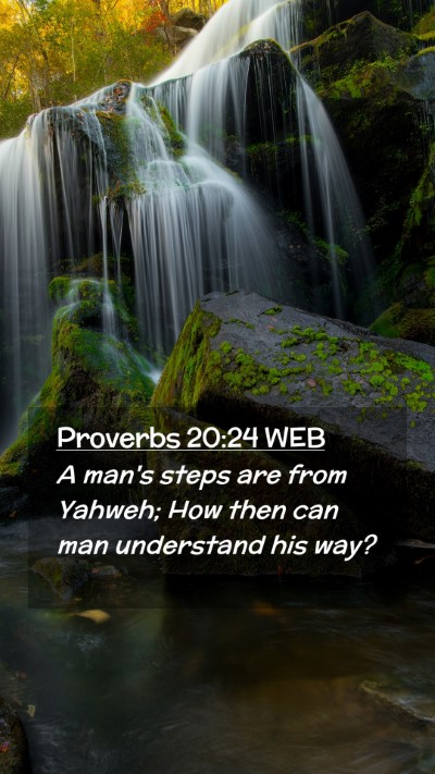 Picture 02 - Proverbs 20:24 WEB Mobile Phone Wallpaper - A man's steps are from Yahweh; How then can man - Mobile Bible Verse Wallpaper