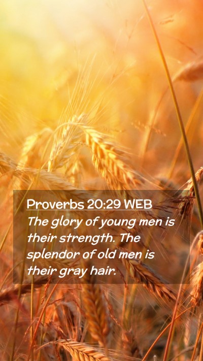 Picture 02 - Proverbs 20:29 WEB Mobile Phone Wallpaper - The glory of young men is their strength. The - Mobile Bible Verse Wallpaper