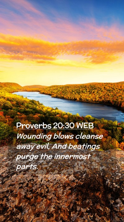 Picture 02 - Proverbs 20:30 WEB Mobile Phone Wallpaper - Wounding blows cleanse away evil, And beatings - Mobile Bible Verse Wallpaper