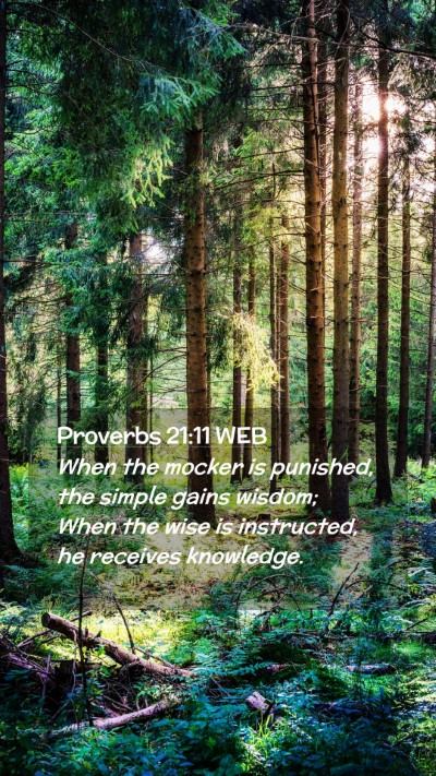 Picture 02 - Proverbs 21:11 WEB Mobile Phone Wallpaper - When the mocker is punished, the simple gains - Mobile Bible Verse Wallpaper