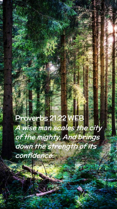 Picture 02 - Proverbs 21:22 WEB Mobile Phone Wallpaper - A wise man scales the city of the mighty, And - Mobile Bible Verse Wallpaper