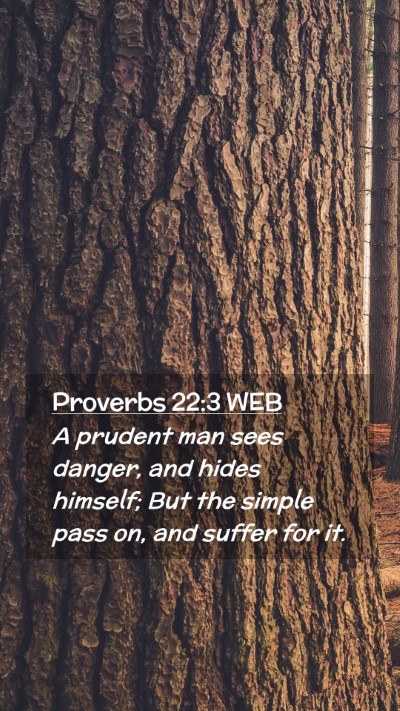 Picture 02 - Proverbs 22:3 WEB Mobile Phone Wallpaper - A prudent man sees danger, and hides himself; But - Mobile Bible Verse Wallpaper
