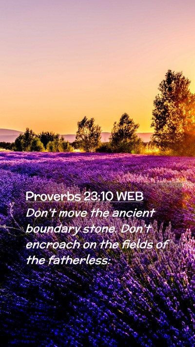 Picture 02 - Proverbs 23:10 WEB Mobile Phone Wallpaper - Don't move the ancient boundary stone. Don't - Mobile Bible Verse Wallpaper
