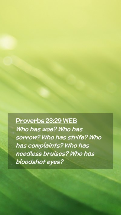 Picture 02 - Proverbs 23:29 WEB Mobile Phone Wallpaper - Who has woe? Who has sorrow? Who has strife? Who - Mobile Bible Verse Wallpaper