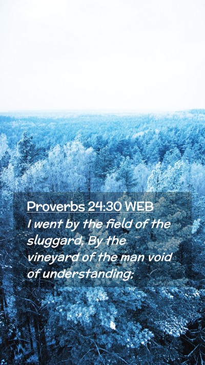 Picture 02 - Proverbs 24:30 WEB Mobile Phone Wallpaper - I went by the field of the sluggard, By the - Mobile Bible Verse Wallpaper