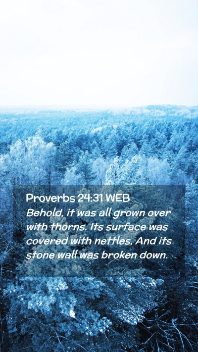 Picture 02 - Proverbs 24:31 WEB Mobile Phone Wallpaper - Behold, it was all grown over with thorns. Its - Mobile Bible Verse Wallpaper