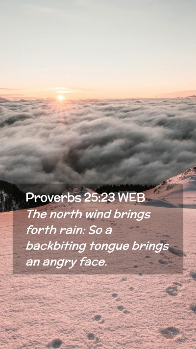Picture 02 - Proverbs 25:23 WEB Mobile Phone Wallpaper - The north wind brings forth rain: So a backbiting - Mobile Bible Verse Wallpaper