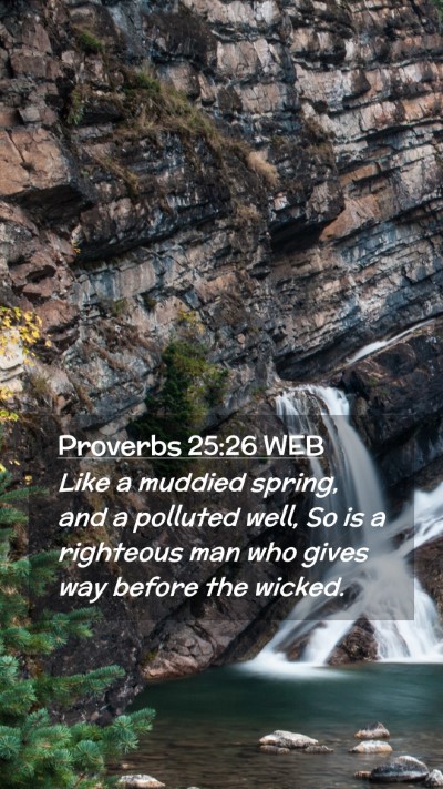 Picture 02 - Proverbs 25:26 WEB Mobile Phone Wallpaper - Like a muddied spring, and a polluted well, So is - Mobile Bible Verse Wallpaper