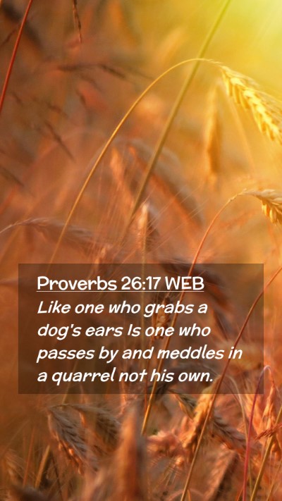 Picture 02 - Proverbs 26:17 WEB Mobile Phone Wallpaper - Like one who grabs a dog's ears Is one who passes - Mobile Bible Verse Wallpaper