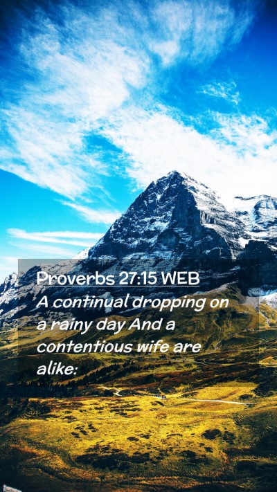 Picture 02 - Proverbs 27:15 WEB Mobile Phone Wallpaper - A continual dropping on a rainy day And a - Mobile Bible Verse Wallpaper