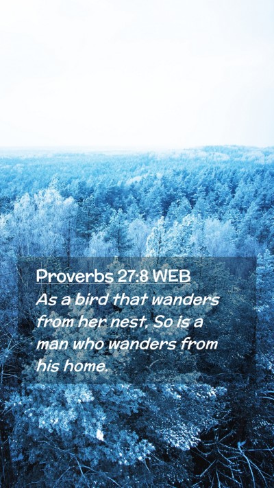Picture 02 - Proverbs 27:8 WEB Mobile Phone Wallpaper - As a bird that wanders from her nest, So is a man - Mobile Bible Verse Wallpaper