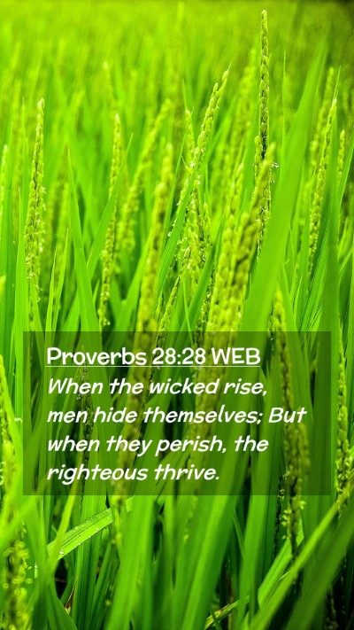 Picture 02 - Proverbs 28:28 WEB Mobile Phone Wallpaper - When the wicked rise, men hide themselves; But - Mobile Bible Verse Wallpaper