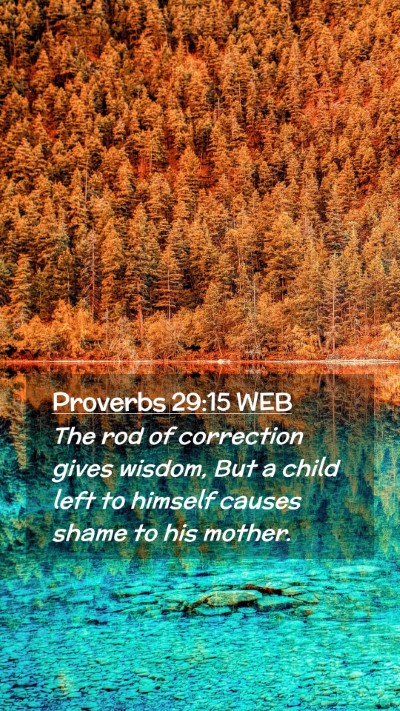 Picture 02 - Proverbs 29:15 WEB Mobile Phone Wallpaper - The rod of correction gives wisdom, But a child - Mobile Bible Verse Wallpaper
