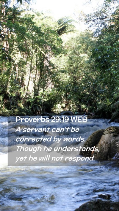 Picture 02 - Proverbs 29:19 WEB Mobile Phone Wallpaper - A servant can't be corrected by words. Though he - Mobile Bible Verse Wallpaper