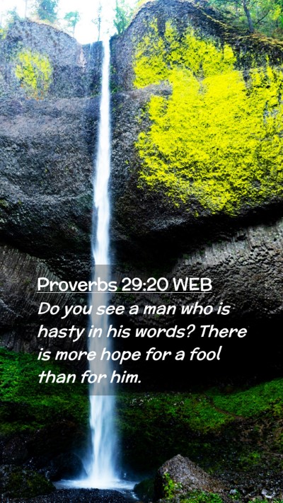 Picture 02 - Proverbs 29:20 WEB Mobile Phone Wallpaper - Do you see a man who is hasty in his words? There - Mobile Bible Verse Wallpaper