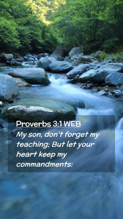 Picture 02 - Proverbs 3:1 WEB Mobile Phone Wallpaper - My son, don't forget my teaching; But let your - Mobile Bible Verse Wallpaper