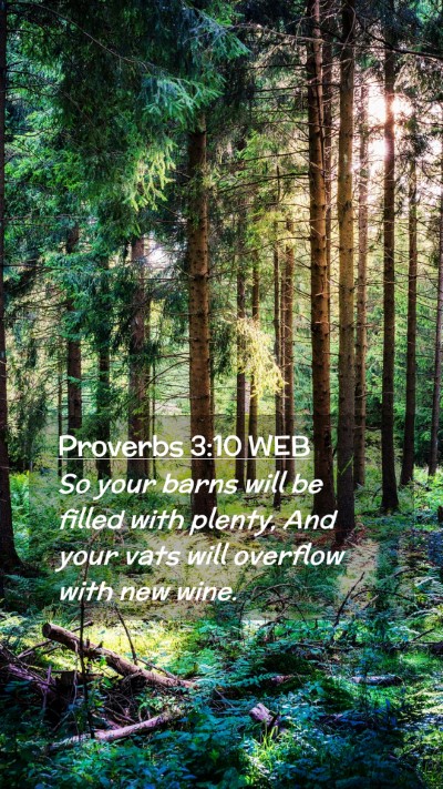 Picture 02 - Proverbs 3:10 WEB Mobile Phone Wallpaper - So your barns will be filled with plenty, And - Mobile Bible Verse Wallpaper