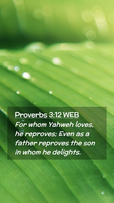 Picture 02 - Proverbs 3:12 WEB Mobile Phone Wallpaper - For whom Yahweh loves, he reproves; Even as a - Mobile Bible Verse Wallpaper