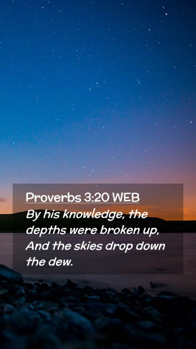 Picture 02 - Proverbs 3:20 WEB Mobile Phone Wallpaper - By his knowledge, the depths were broken up, And - Mobile Bible Verse Wallpaper