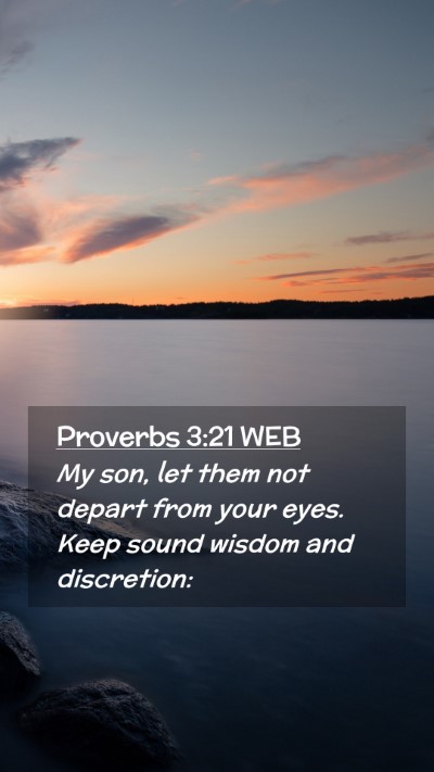 Picture 02 - Proverbs 3:21 WEB Mobile Phone Wallpaper - My son, let them not depart from your eyes. Keep - Mobile Bible Verse Wallpaper