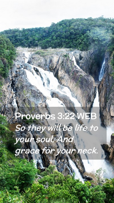 Picture 02 - Proverbs 3:22 WEB Mobile Phone Wallpaper - So they will be life to your soul, And grace for - Mobile Bible Verse Wallpaper