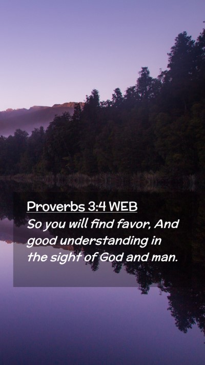 Picture 02 - Proverbs 3:4 WEB Mobile Phone Wallpaper - So you will find favor, And good understanding in - Mobile Bible Verse Wallpaper