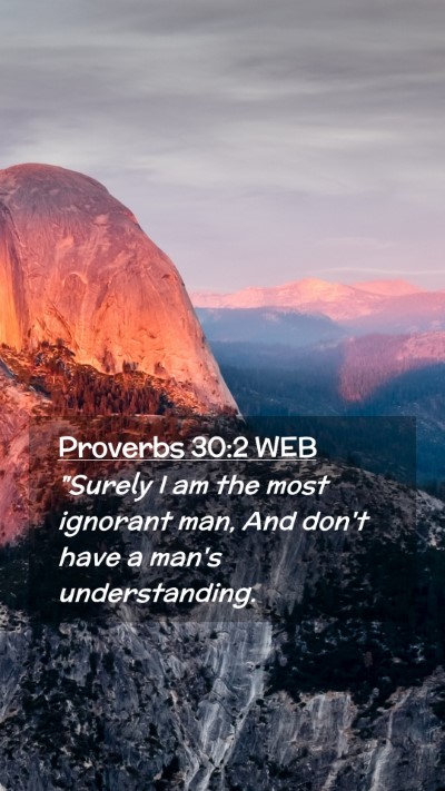 Picture 02 - Proverbs 30:2 WEB Mobile Phone Wallpaper - 