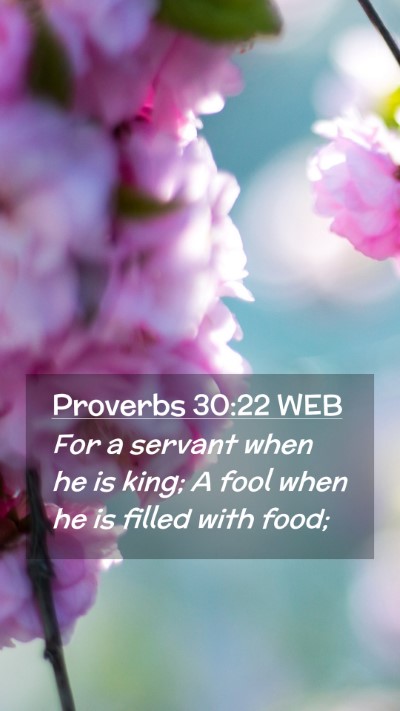 Picture 02 - Proverbs 30:22 WEB Mobile Phone Wallpaper - For a servant when he is king; A fool when he is - Mobile Bible Verse Wallpaper