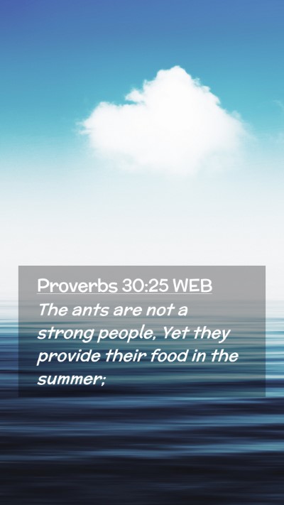 Picture 02 - Proverbs 30:25 WEB Mobile Phone Wallpaper - The ants are not a strong people, Yet they - Mobile Bible Verse Wallpaper