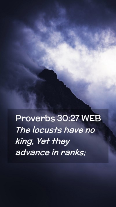 Picture 02 - Proverbs 30:27 WEB Mobile Phone Wallpaper - The locusts have no king, Yet they advance in - Mobile Bible Verse Wallpaper