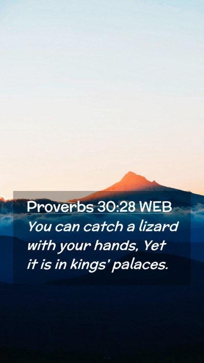 Picture 02 - Proverbs 30:28 WEB Mobile Phone Wallpaper - You can catch a lizard with your hands, Yet it is - Mobile Bible Verse Wallpaper