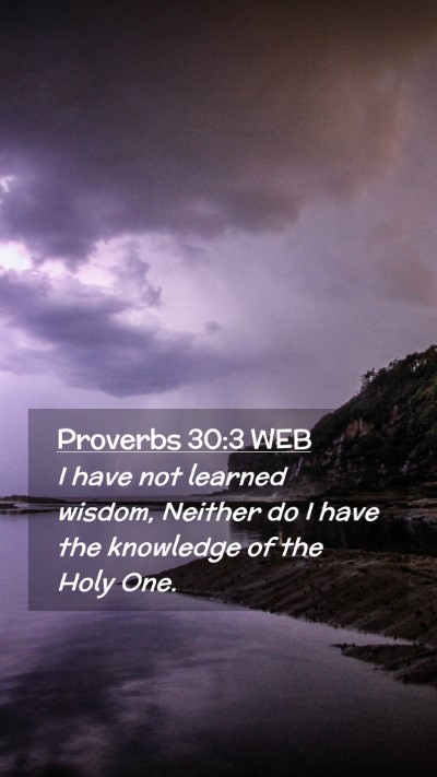 Picture 02 - Proverbs 30:3 WEB Mobile Phone Wallpaper - I have not learned wisdom, Neither do I have the - Mobile Bible Verse Wallpaper