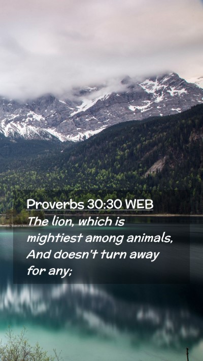 Picture 02 - Proverbs 30:30 WEB Mobile Phone Wallpaper - The lion, which is mightiest among animals, And - Mobile Bible Verse Wallpaper