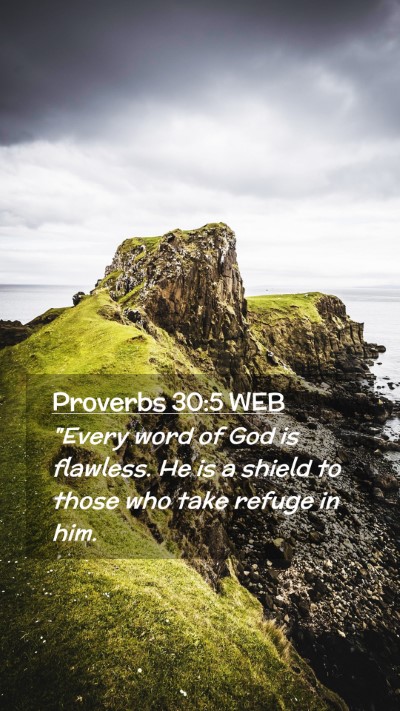 Picture 02 - Proverbs 30:5 WEB Mobile Phone Wallpaper - 