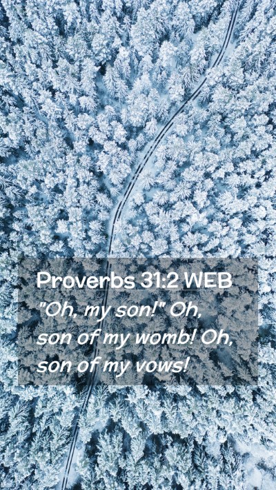Picture 02 - Proverbs 31:2 WEB Mobile Phone Wallpaper - 