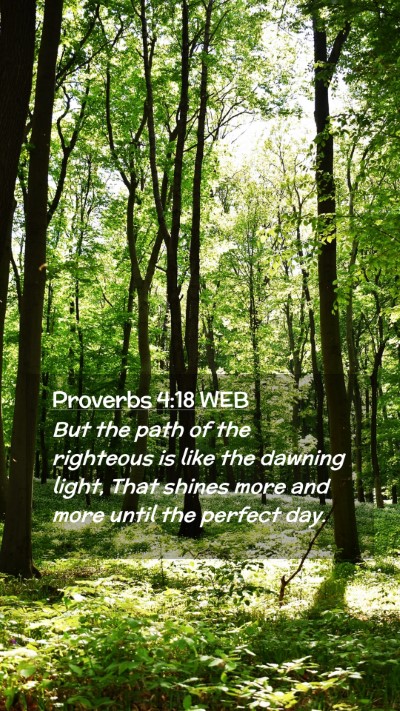 Picture 02 - Proverbs 4:18 WEB Mobile Phone Wallpaper - But the path of the righteous is like the dawning - Mobile Bible Verse Wallpaper