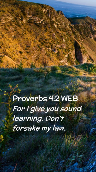 Picture 02 - Proverbs 4:2 WEB Mobile Phone Wallpaper - For I give you sound learning. Don't forsake my - Mobile Bible Verse Wallpaper
