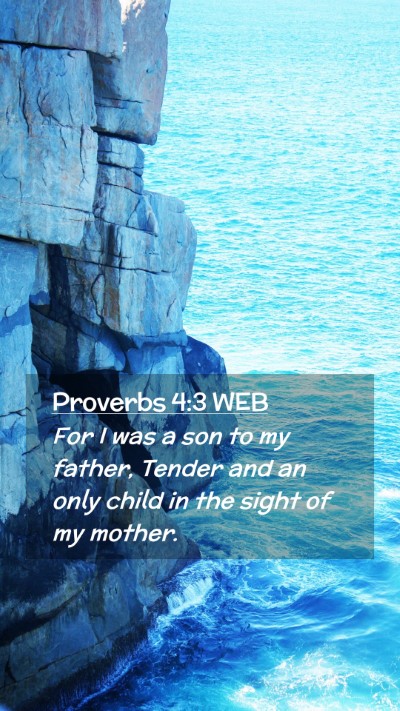 Picture 02 - Proverbs 4:3 WEB Mobile Phone Wallpaper - For I was a son to my father, Tender and an only - Mobile Bible Verse Wallpaper