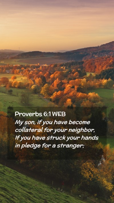 Picture 02 - Proverbs 6:1 WEB Mobile Phone Wallpaper - My son, if you have become collateral for your - Mobile Bible Verse Wallpaper