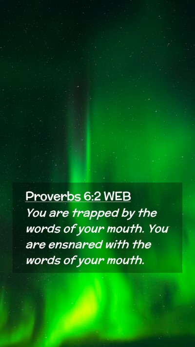 Picture 02 - Proverbs 6:2 WEB Mobile Phone Wallpaper - You are trapped by the words of your mouth. You - Mobile Bible Verse Wallpaper