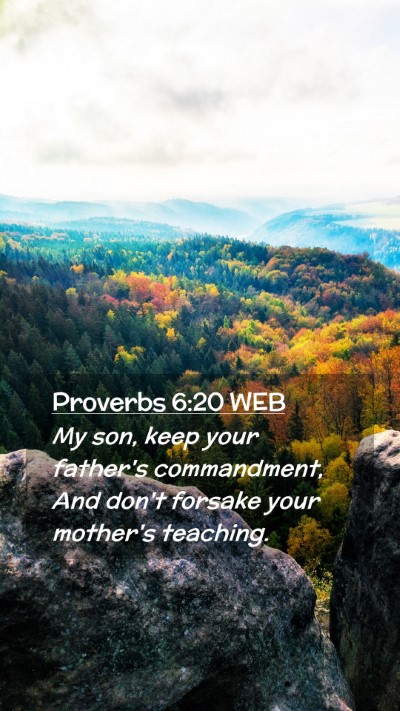 Picture 02 - Proverbs 6:20 WEB Mobile Phone Wallpaper - My son, keep your father's commandment, And don't - Mobile Bible Verse Wallpaper