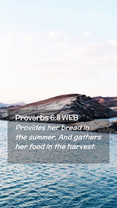 Picture 02 - Proverbs 6:8 WEB Mobile Phone Wallpaper - Provides her bread in the summer, And gathers her - Mobile Bible Verse Wallpaper