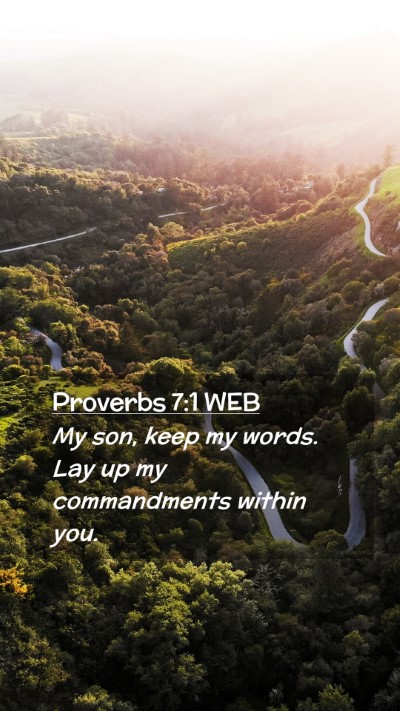 Picture 02 - Proverbs 7:1 WEB Mobile Phone Wallpaper - My son, keep my words. Lay up my commandments - Mobile Bible Verse Wallpaper