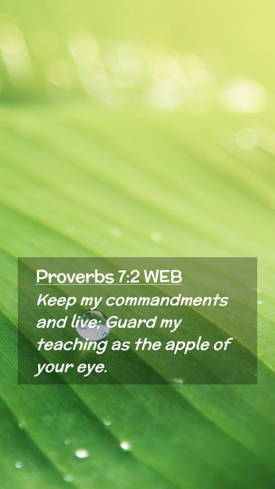 Picture 02 - Proverbs 7:2 WEB Mobile Phone Wallpaper - Keep my commandments and live; Guard my teaching - Mobile Bible Verse Wallpaper