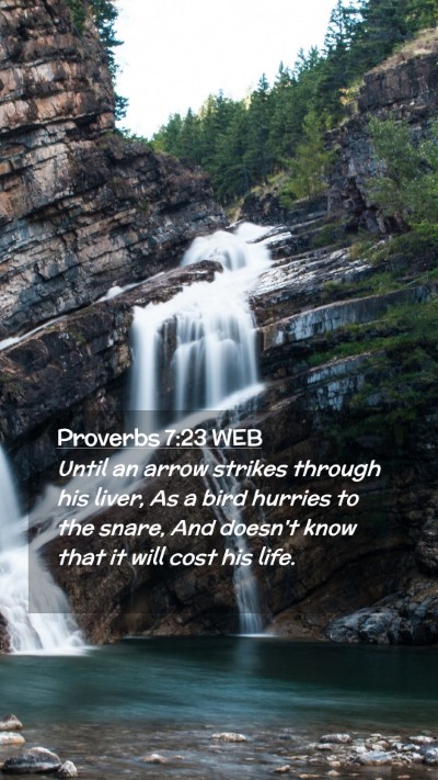 Picture 02 - Proverbs 7:23 WEB Mobile Phone Wallpaper - Until an arrow strikes through his liver, As a - Mobile Bible Verse Wallpaper