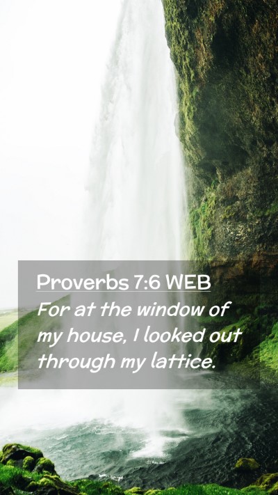 Picture 02 - Proverbs 7:6 WEB Mobile Phone Wallpaper - For at the window of my house, I looked out - Mobile Bible Verse Wallpaper