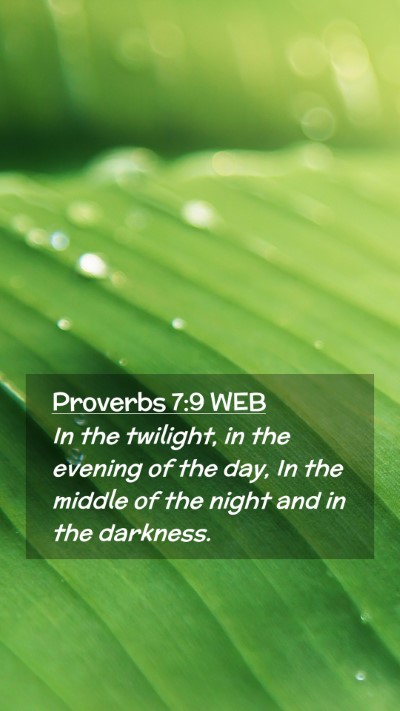 Picture 02 - Proverbs 7:9 WEB Mobile Phone Wallpaper - In the twilight, in the evening of the day, In - Mobile Bible Verse Wallpaper