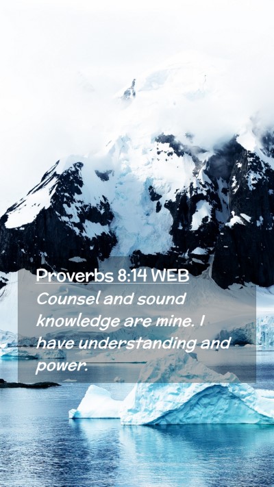 Picture 02 - Proverbs 8:14 WEB Mobile Phone Wallpaper - Counsel and sound knowledge are mine. I have - Mobile Bible Verse Wallpaper