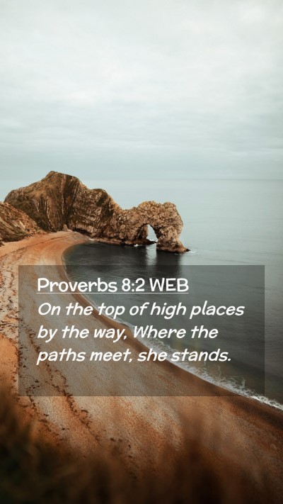 Picture 02 - Proverbs 8:2 WEB Mobile Phone Wallpaper - On the top of high places by the way, Where the - Mobile Bible Verse Wallpaper